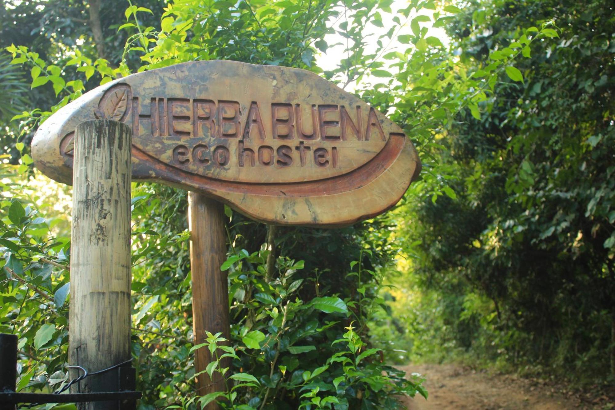 Hierba Buena Eco * El Zaino